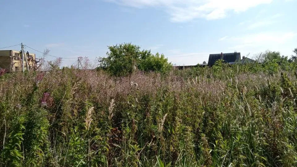 Фото: Комитет по конкурентной политике МО