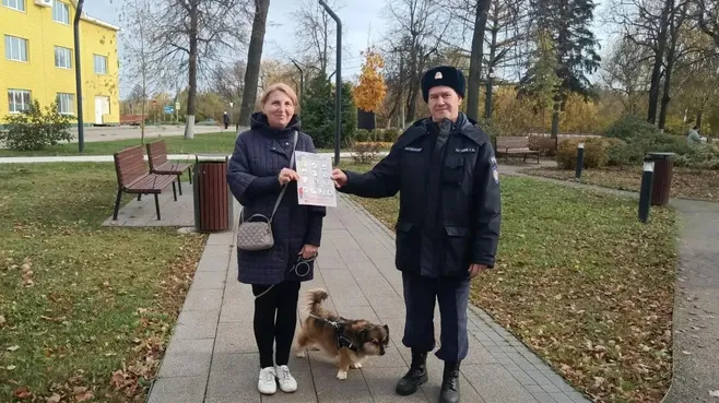 Картинка