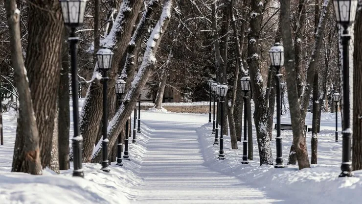 Фото: freepik.com