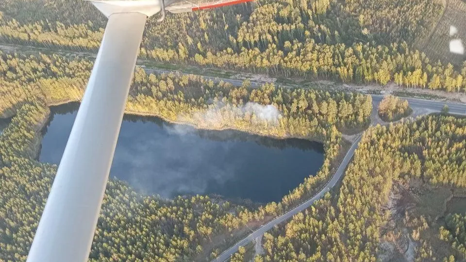 Фото: Комитет лесного хозяйства Московской области