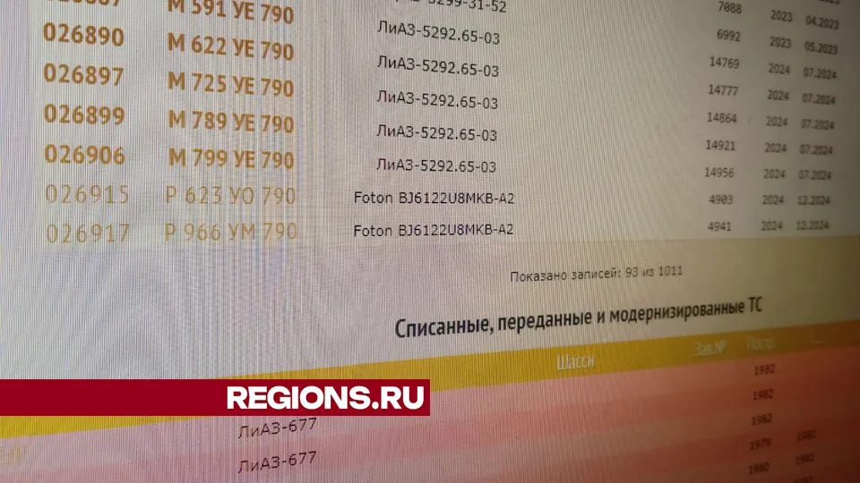 Фото: REGIONS / Василий Тремасов