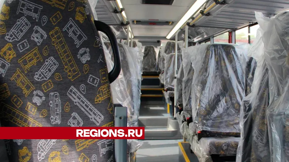 Фото: REGIONS/Василий Тремасов