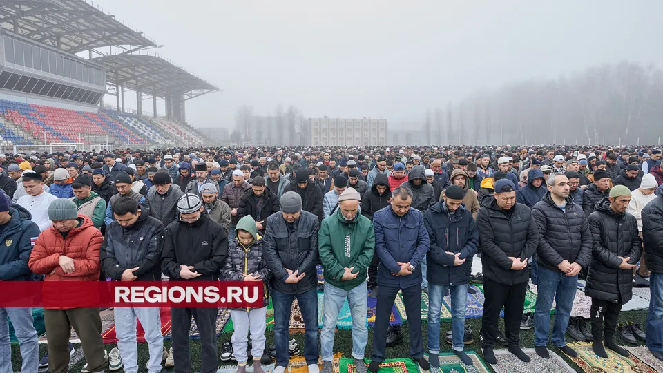 Фото: REGIONS/Дмитрий Белицкий