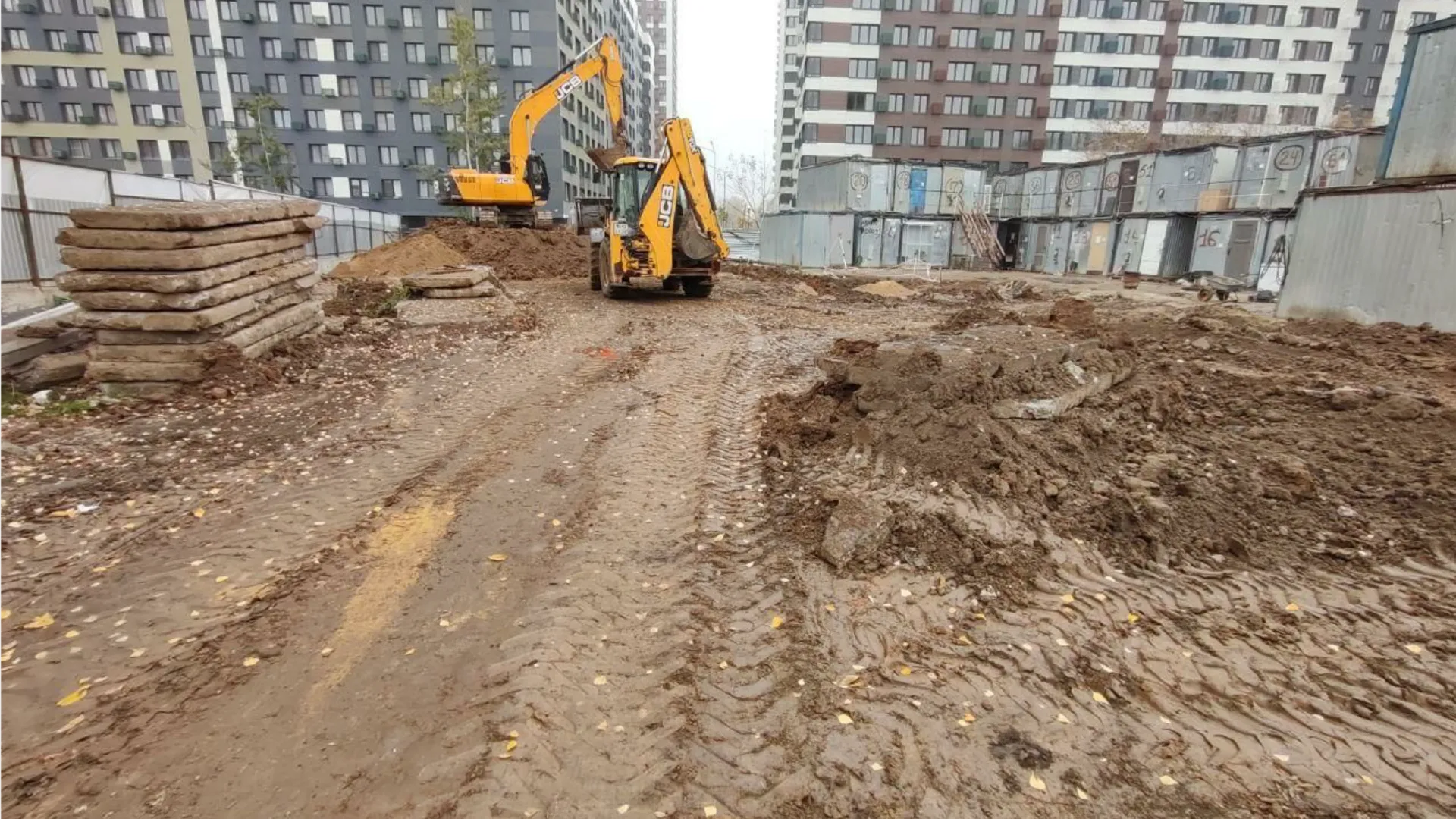 Фото: пресс-служба администрации г.о. Долгопрудный