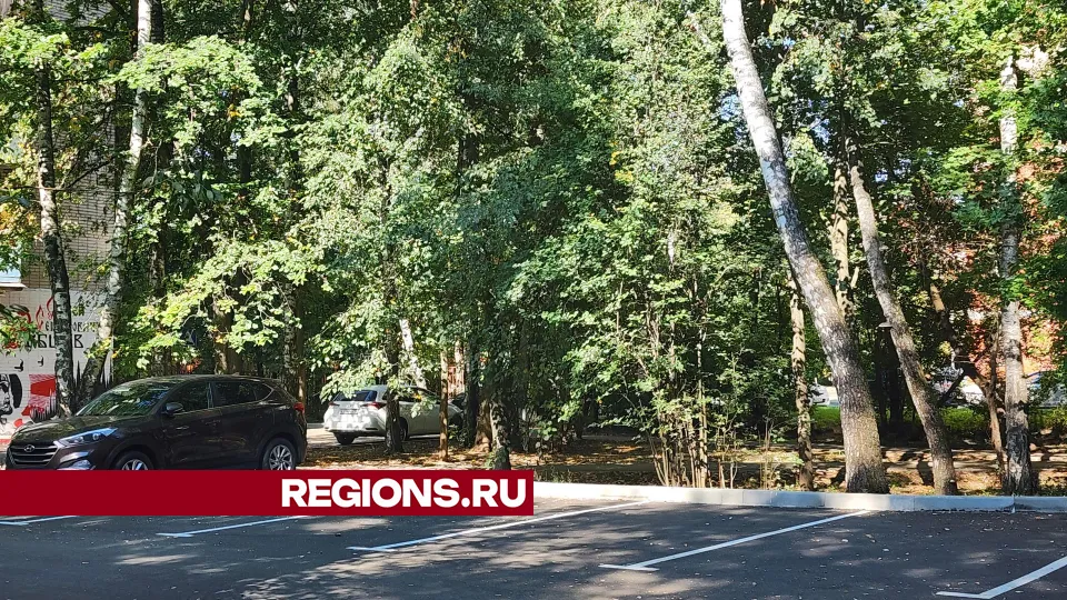 Фото: Роман Савельев&nbsp;