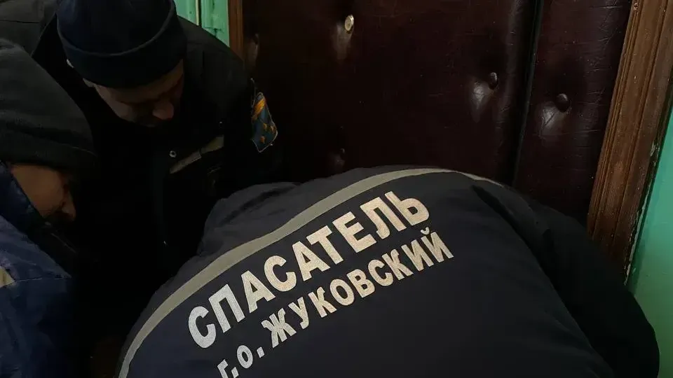 Картинка