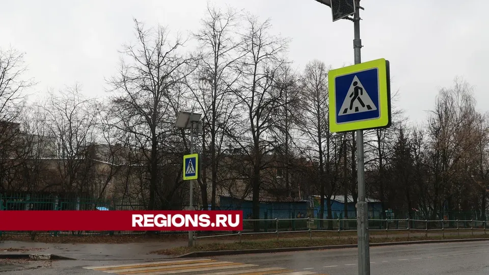 Фото: Алексей Грызлов