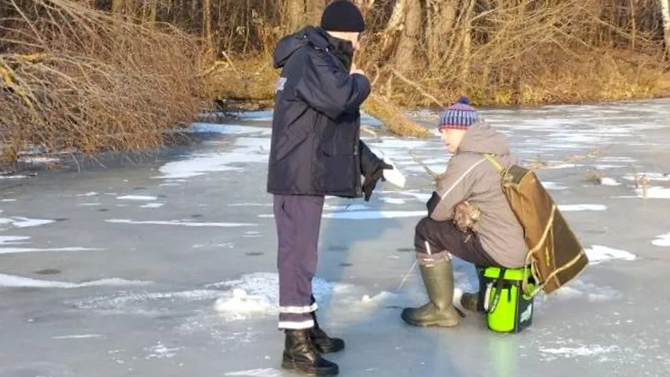 Картинка
