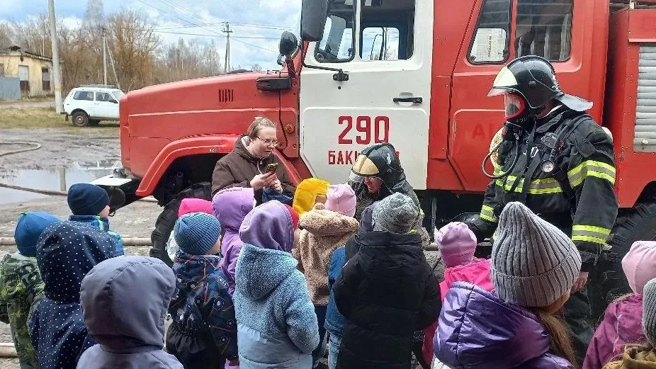 Картинка