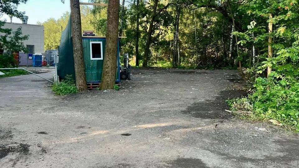 Фото: управление экологии городского округа Мытищи
