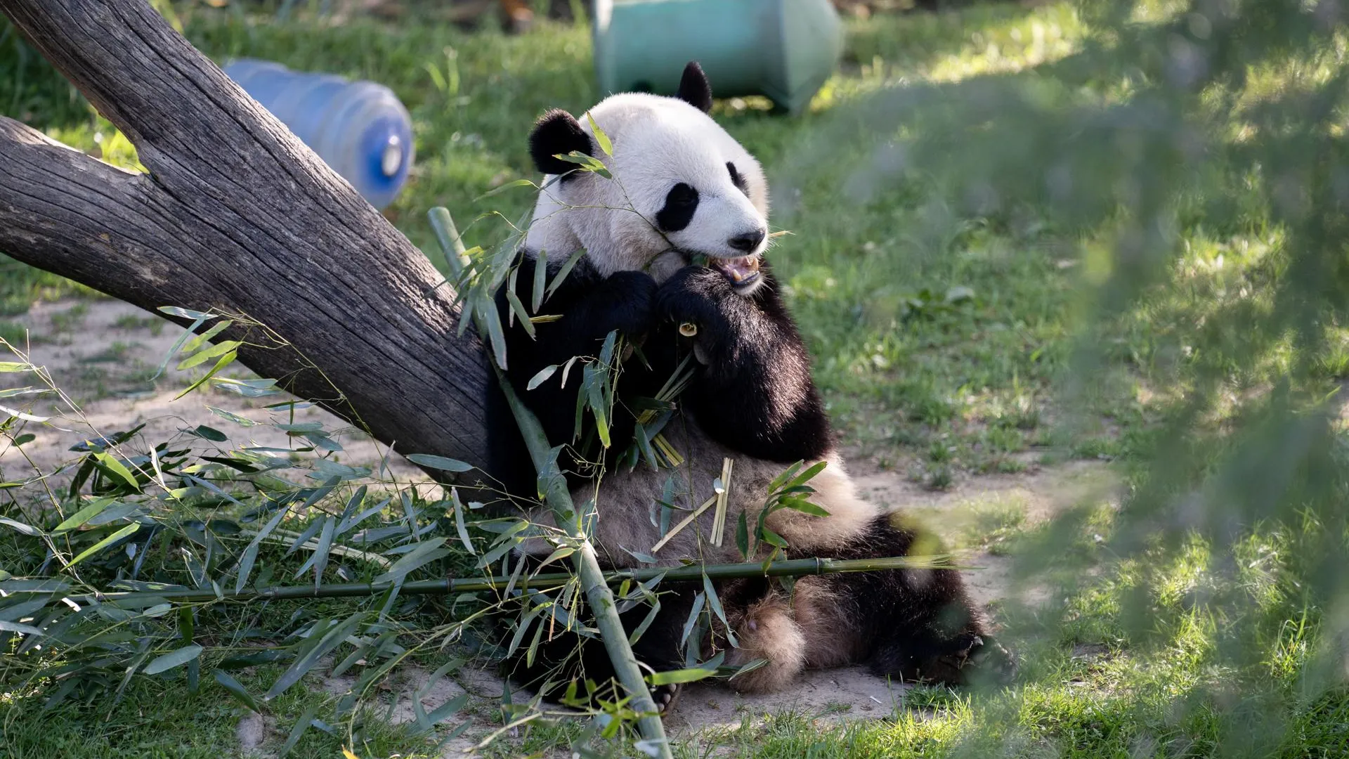 Liu Jie/XinHua