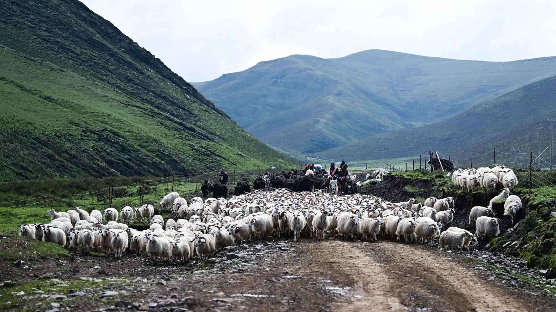Zhang Long/XinHua