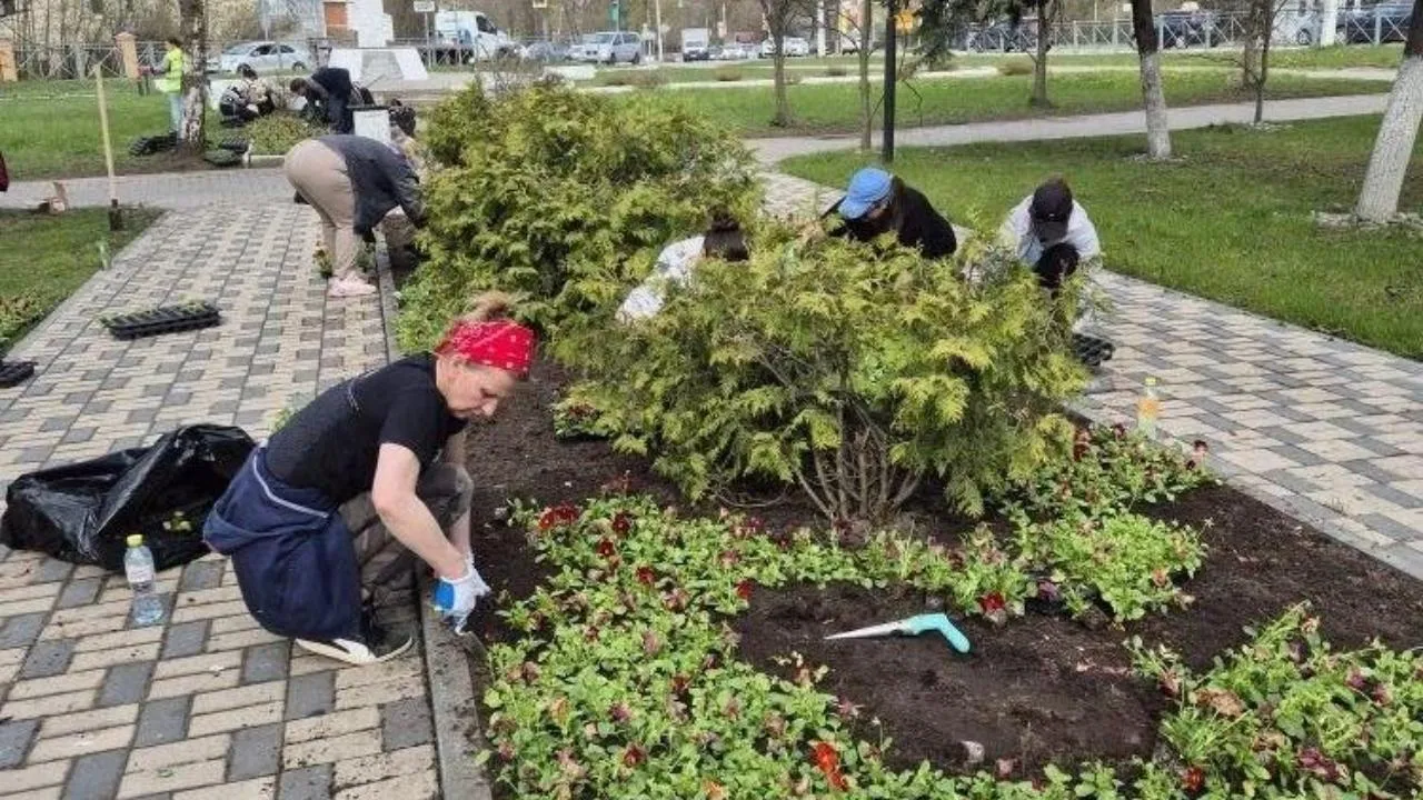 В Московской области стартовали работы по высадке цветов на городских клумбах