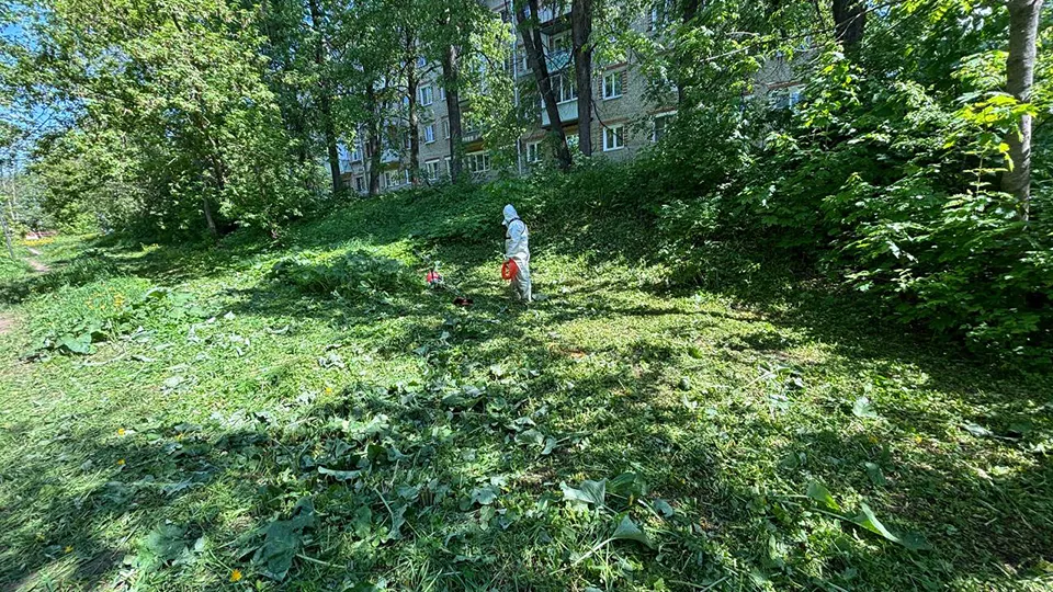 Фото: МБУ «Городское хозяйство»