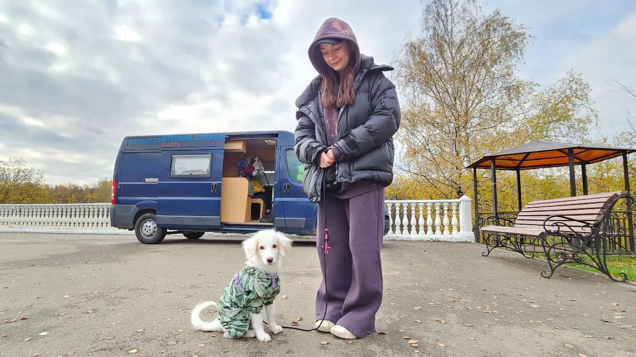 Картинка