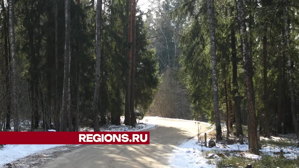 Фото: REGIONS/Василий Тремасов
