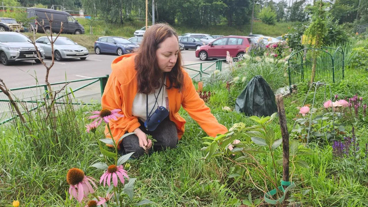 Картинка