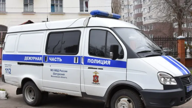 Фото из архива "Большой Шатуры"
