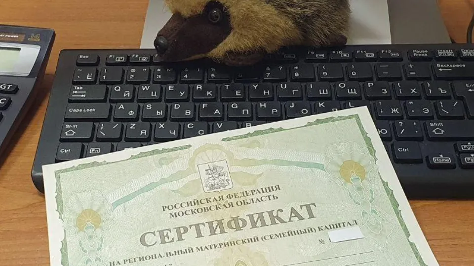 Фото: Министерство социального развития МО