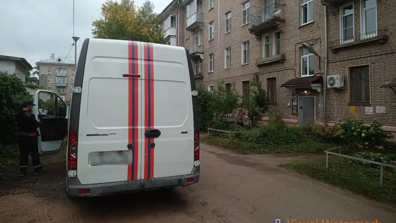 Картинка