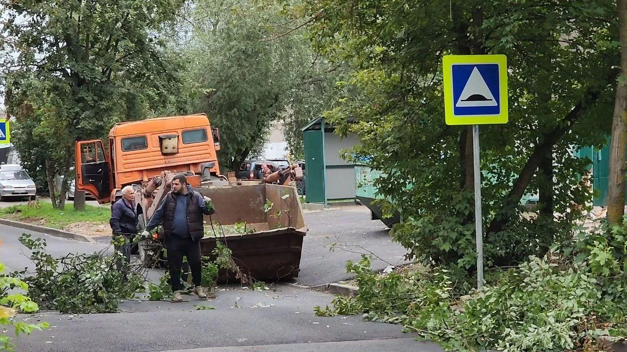 Картинка
