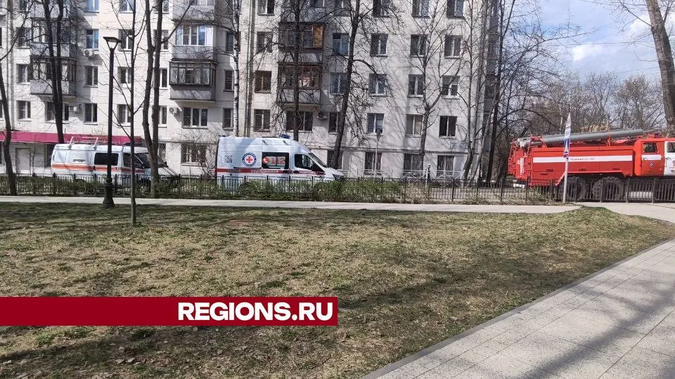 Фото: Георгий Козлов