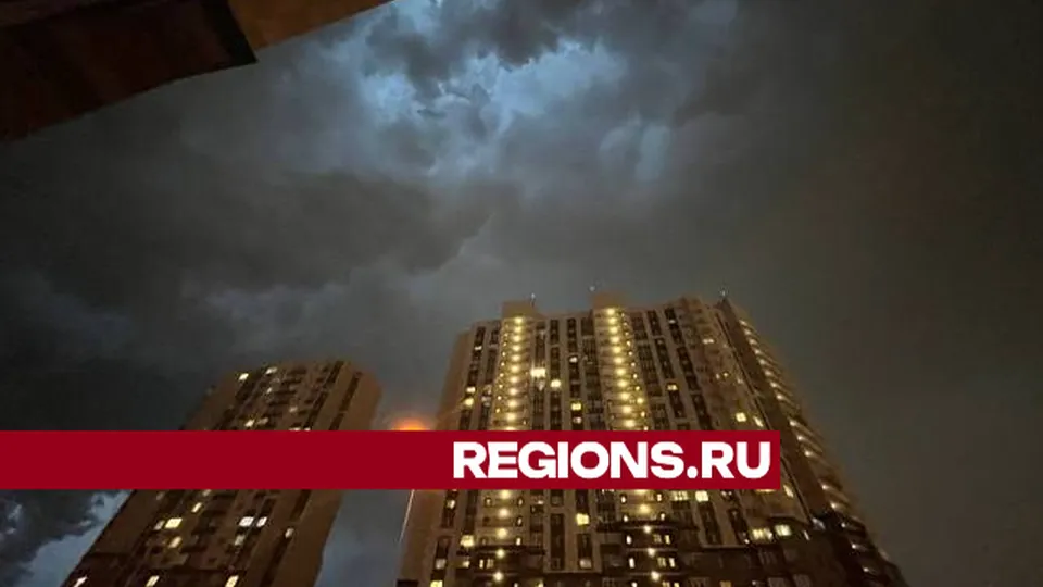 Фото: Александра Загороднова