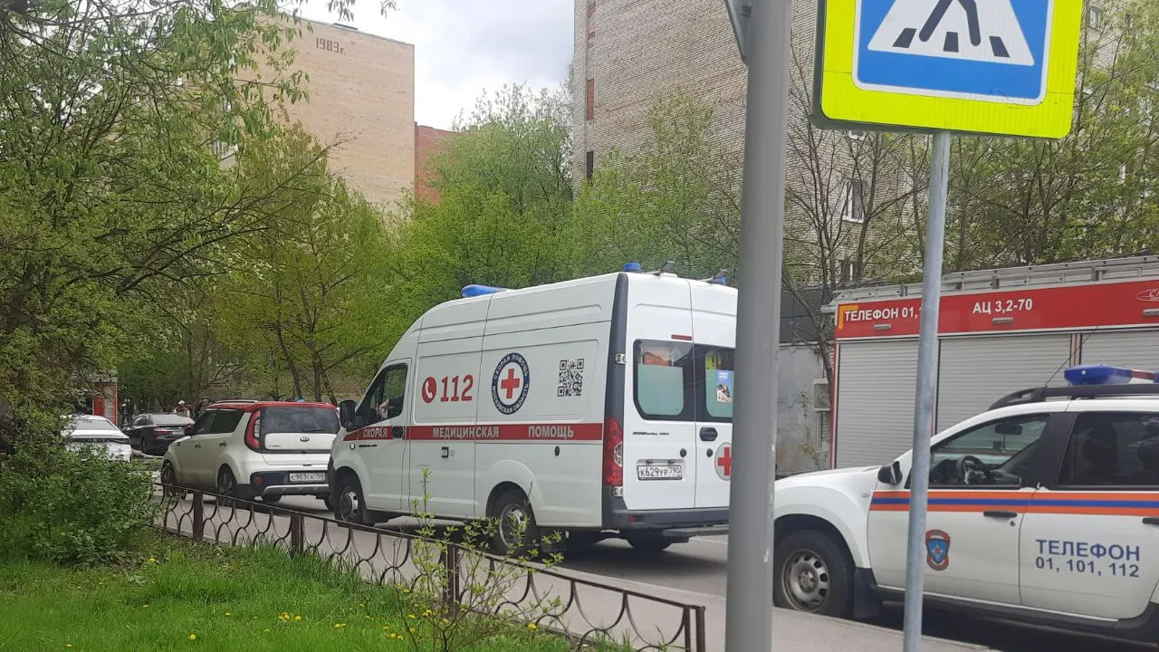 Фото: Дарья Недошивина