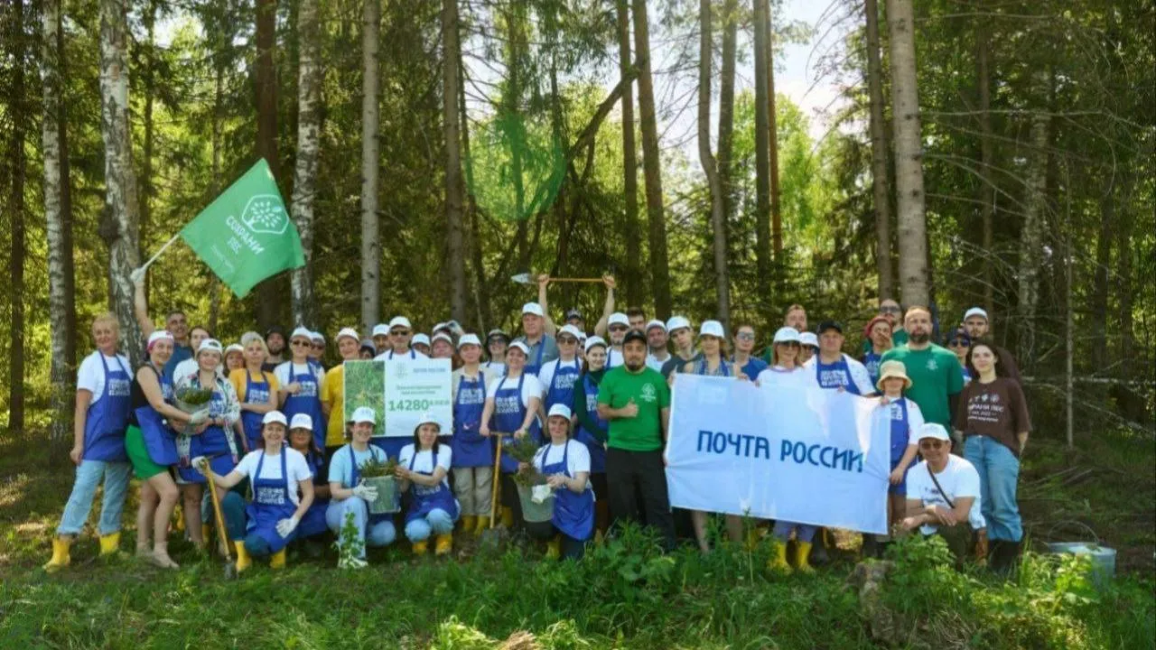 «Почтовый лес» появился в Московской области
