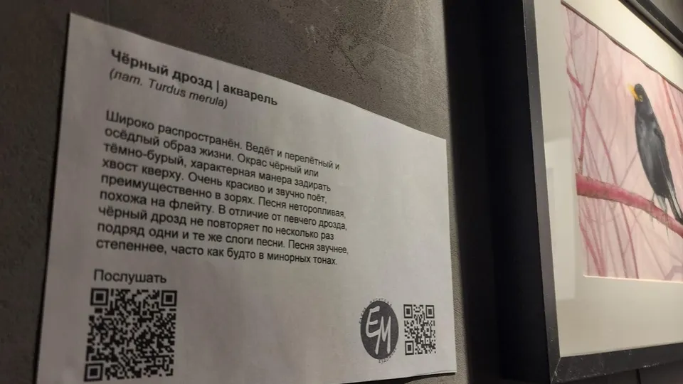 Описание к произведению на выставке в наукограде. Фото: Иван Петрушин&nbsp;
