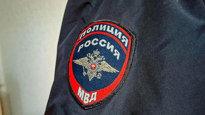 В Путилкове раскрыли дерзкую схему сбыта ворованных цветов с клумб
