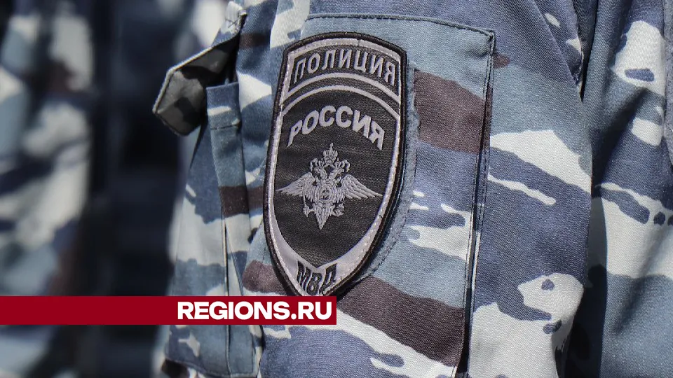 Фото: REGIONS/Василий Тремасов