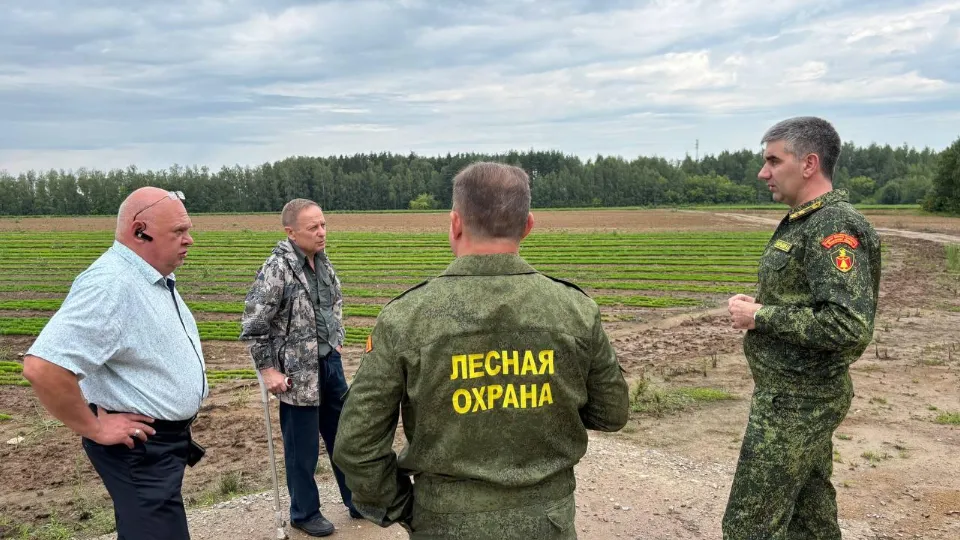 Фото: Комитет лесного хозяйства Московской области