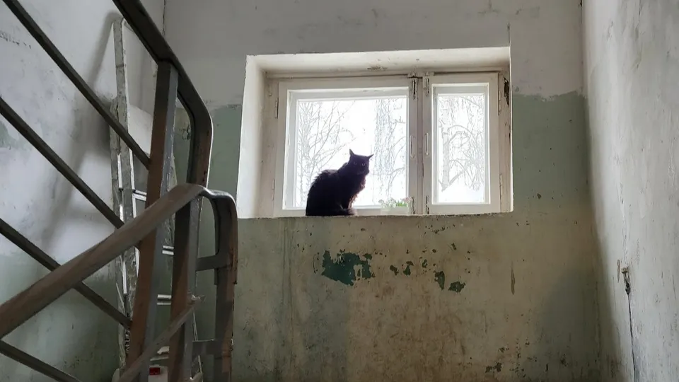 Фото: Ольга Антонова