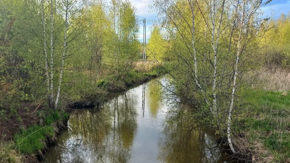 Фото: REGIONS/Олег Книжник