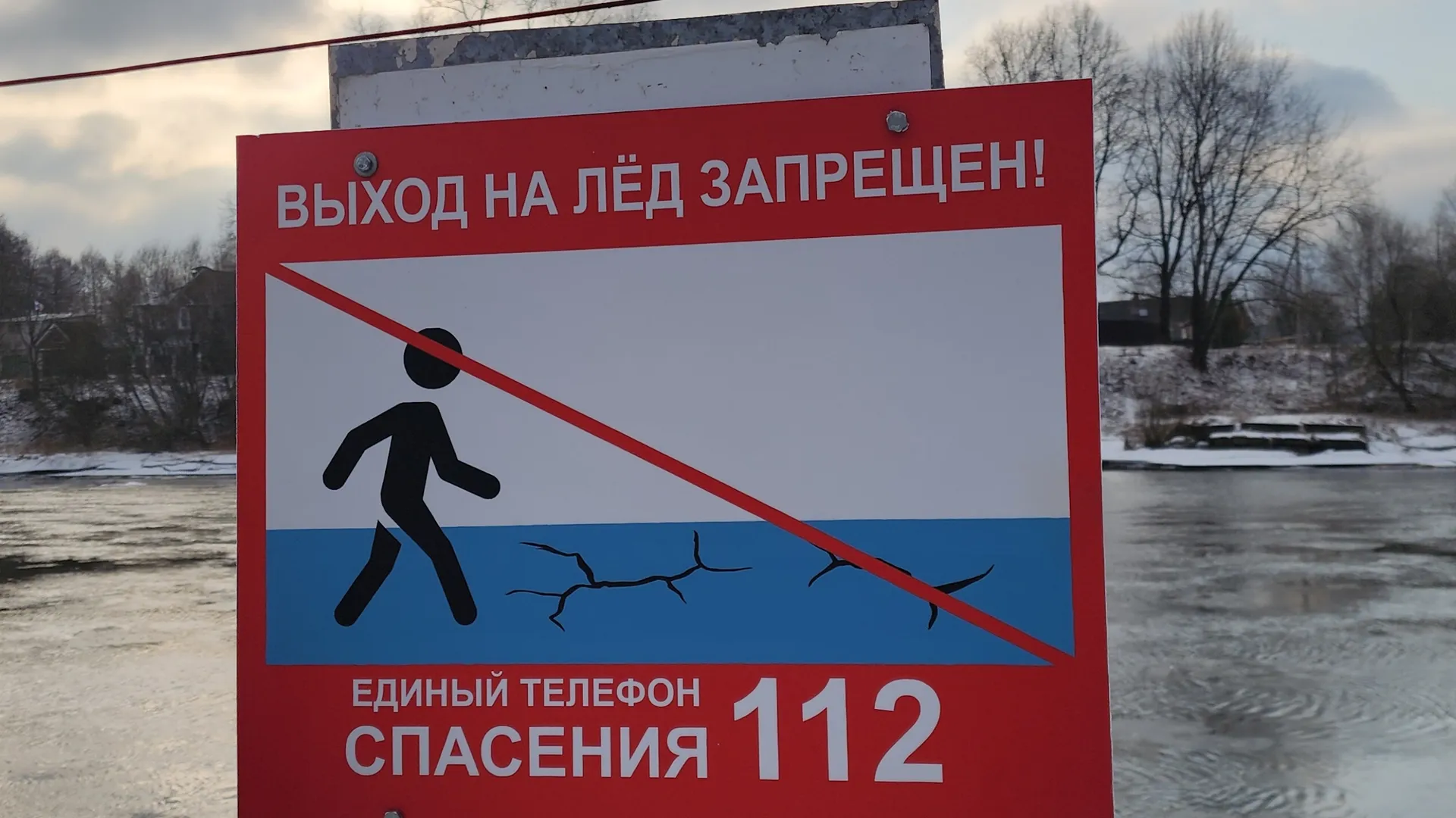 Фото: Хавива Фонина