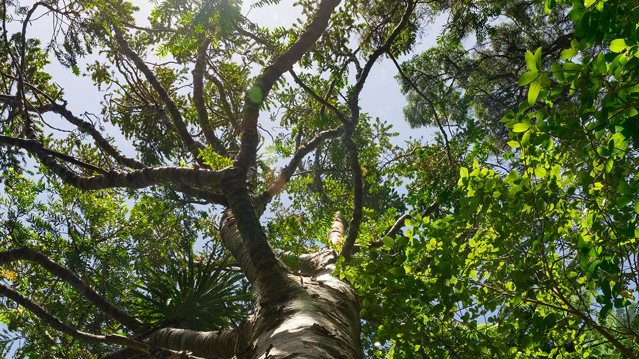 Фото: unsplash