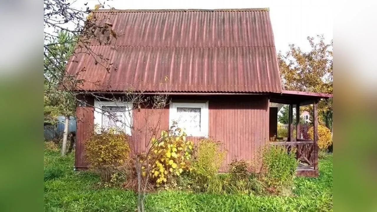 Картинка