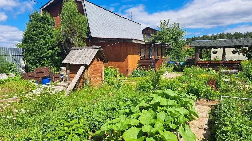 Картинка