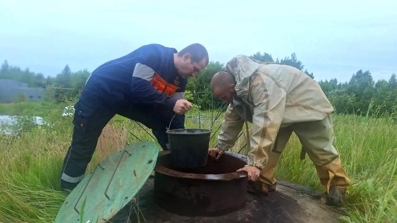 Картинка