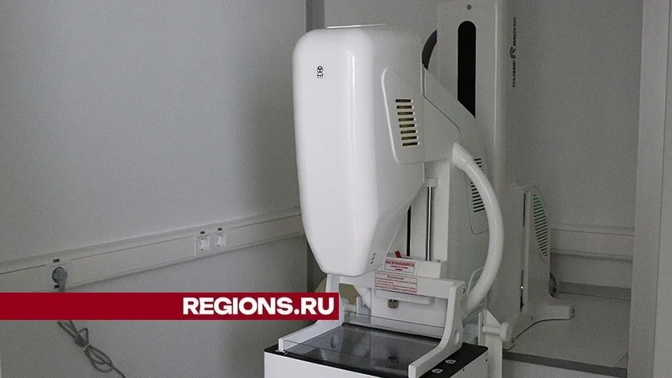 Фото: Александр Дрожжин