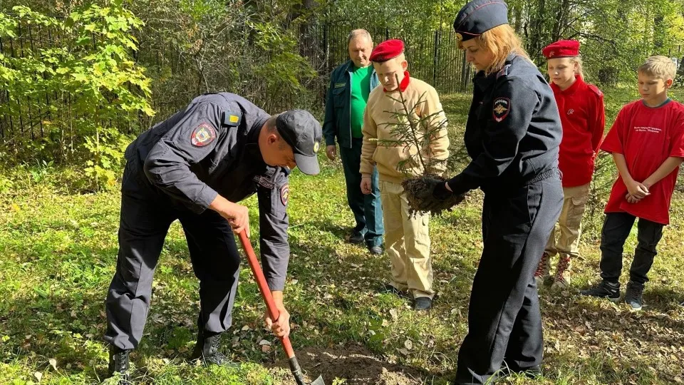 Фото: пресс-служба ОМВД России по г.о. Лотошино