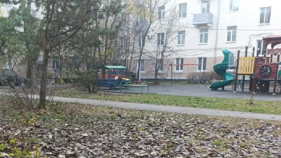 Фото: пресс-служба администрации г.о. Лосино-Петровский