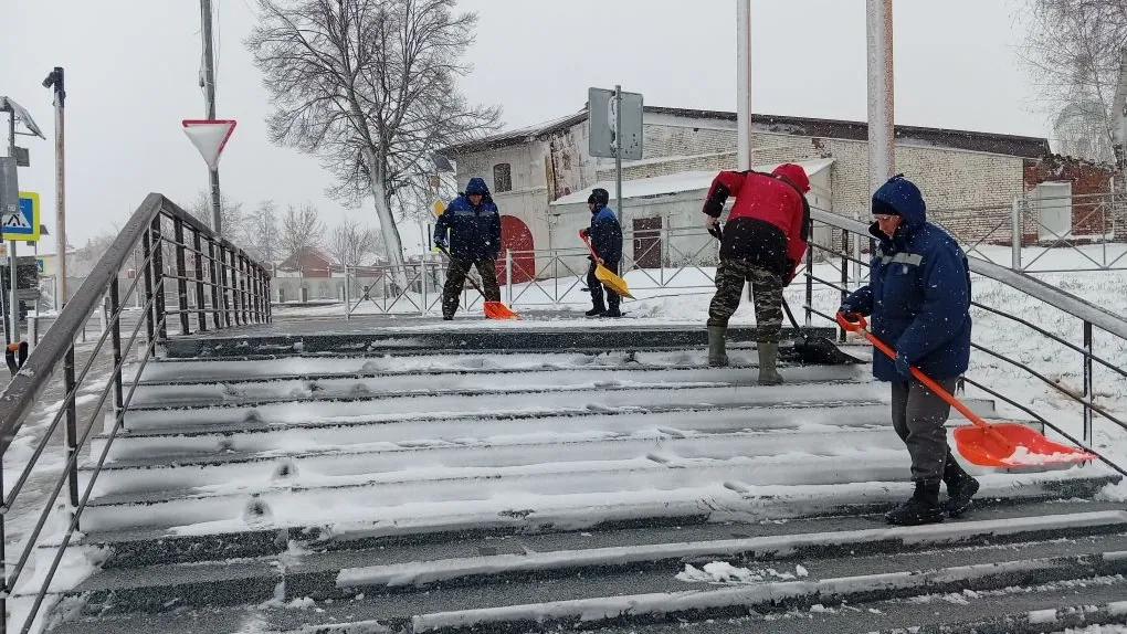Картинка