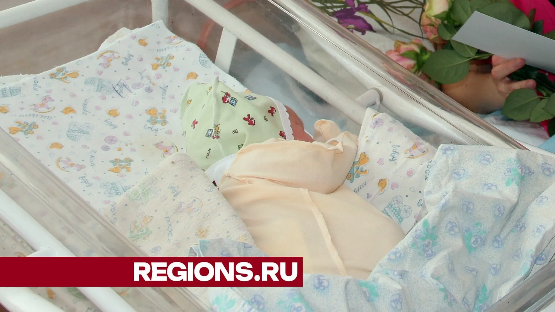 Фото: Александр Дрожжин