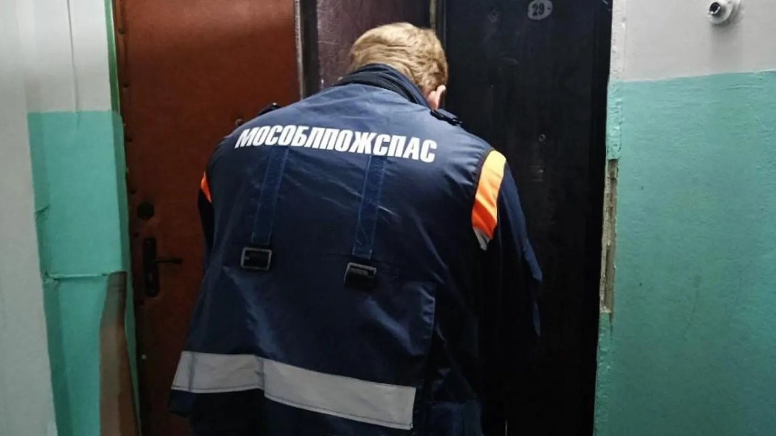 Фото: ГКУ МО «Мособлпожспас»