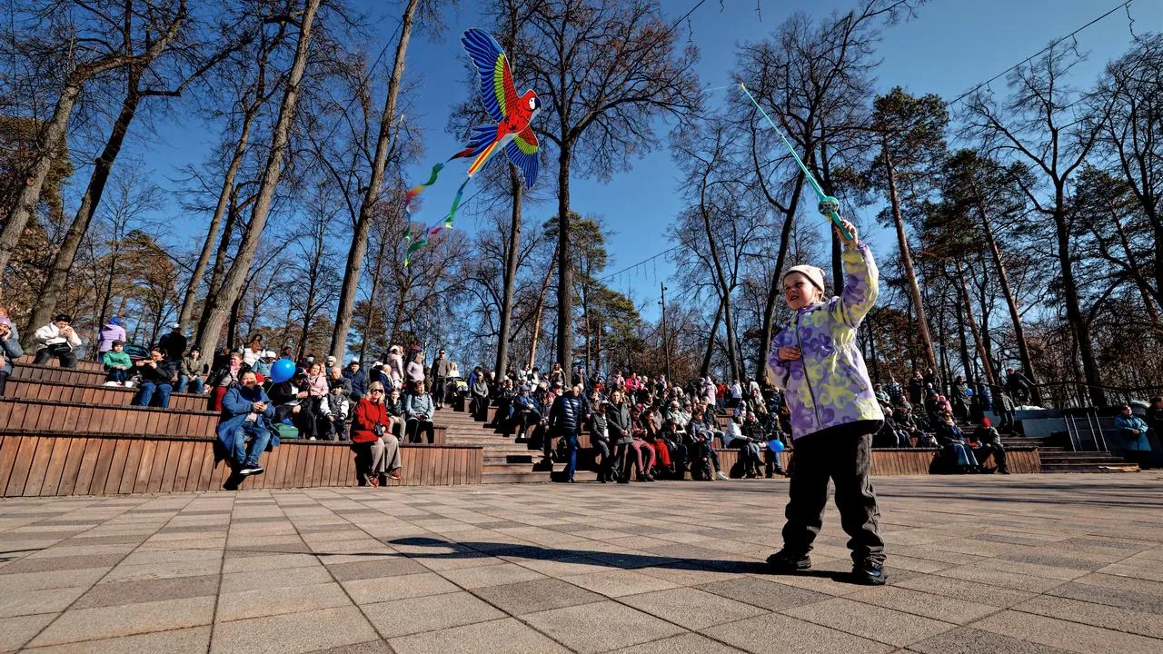 Картинка