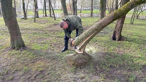 Фото: vk.com/Владимир Барсуков