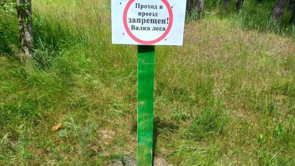 Фото: Комитет лесного хозяйства Московской области