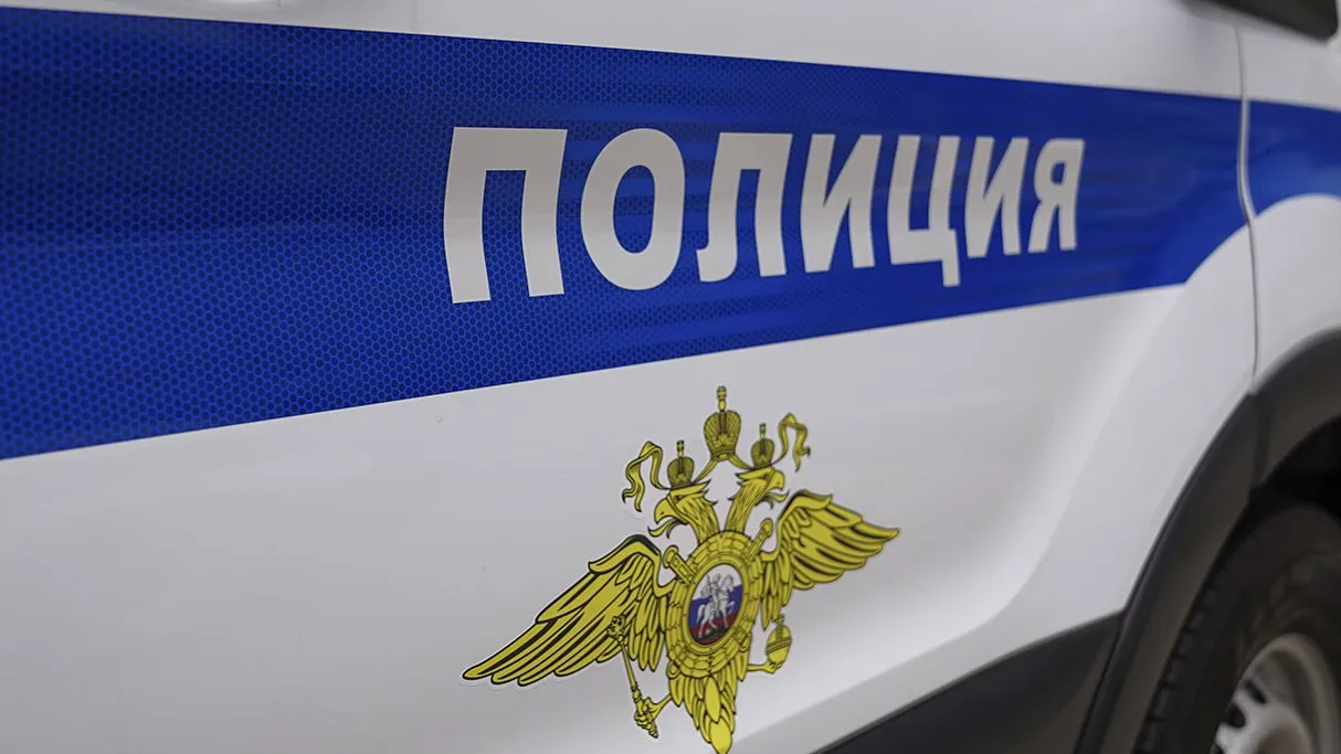 Фото: Подмосковная полиция / Telegram